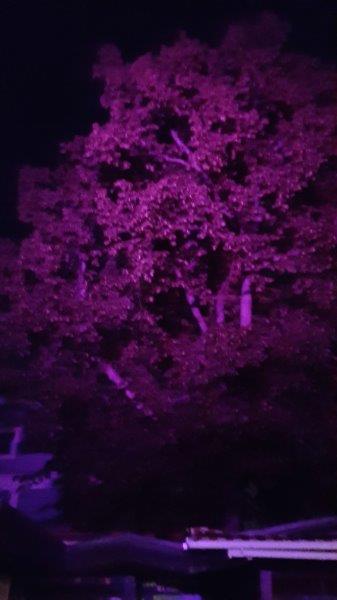 20170409_203247_carpeDiem