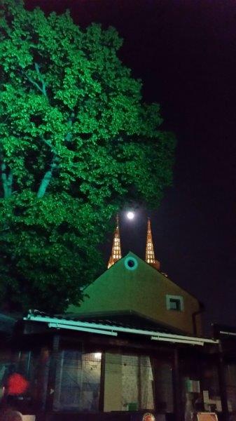 20170409_204723_carpeDiem