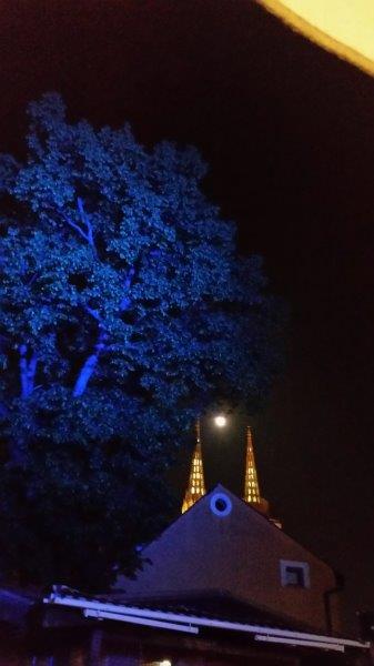 20170409_204758_carpeDiem