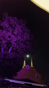 20170409_204806_carpeDiem