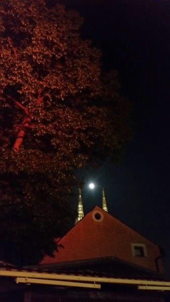 20170409_205041_carpeDiem