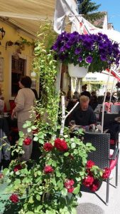 20170506_111844_carpeDiem