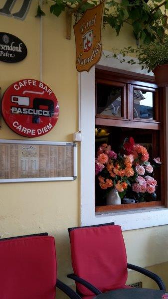 20170530_081553_carpeDiem