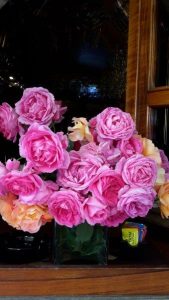 20170530_081606_carpeDiem