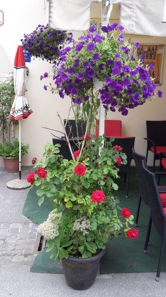 20170627_173109_carpeDiem