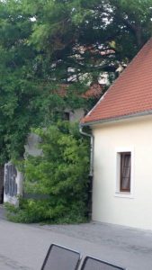 20170629_202225_carpeDiem