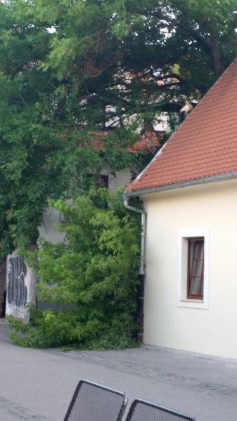 20170629_202225_carpeDiem