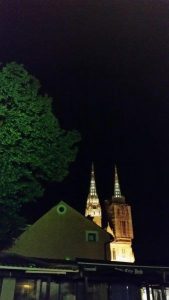 20170702_000403_carpeDiem