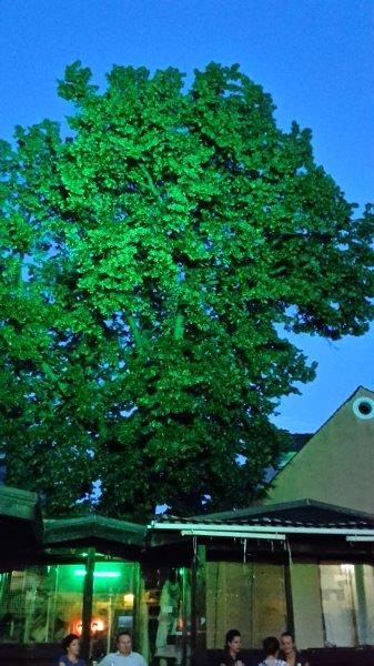 20170713_212006_carpeDiem